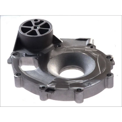 Kuva DT Spare Parts 1.11165 Kotelo, vesipumppu