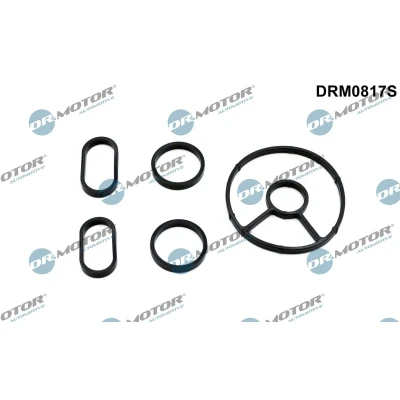 Kuva DR.MOTOR AUTOMOTIVE DRM0817S Öljynjäähdytin VOLVO: V50, C30, V70 3, PEUGEOT: 508 I SW, CITROËN: C4 Picasso 1