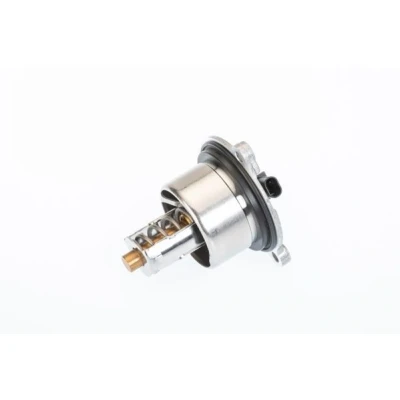 Kuva WAHLER 411076.104D Termostaatti 104