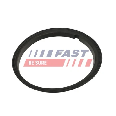 Kuva FAST FT48502 Tiiviste, Tankin Anturi