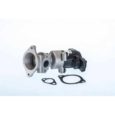 Kuva WAHLER 710984R EGR Venttiili Sähköinen Tiivisteillä