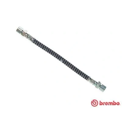 Kuva BREMBO T 10 009 Jarruletku 245 F10X1
