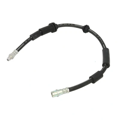Kuva DELPHI LH7481 Jarruletku 680 M10x1 Int SF