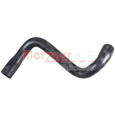 Kuva METZGER 2421766 Jäähdyttimen Letku Oikea, ala FORD: Focus Mk1 Hatchback, Farmari