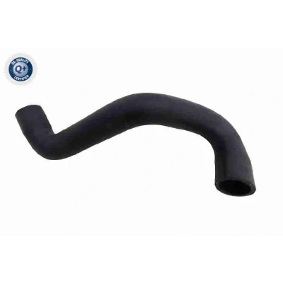 Kuva VAICO V25 2570 Jäähdyttimen Letku Moottorinjäähdytin, Oikea, ala EPDM (eteenipropeeni dieeni kumi) FORD: FOCUS 3