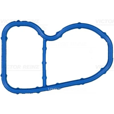 Kuva REINZ 71 17090 00 Imusarjan Tiivisteet FPM (fluori kumi) BMW: 5 Touring