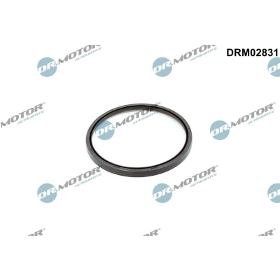 Kuva DR.MOTOR AUTOMOTIVE DRM02831 Kampiakselin Tiiviste Vaihteiston puoli VOLVO: V70 2, 3, V50
