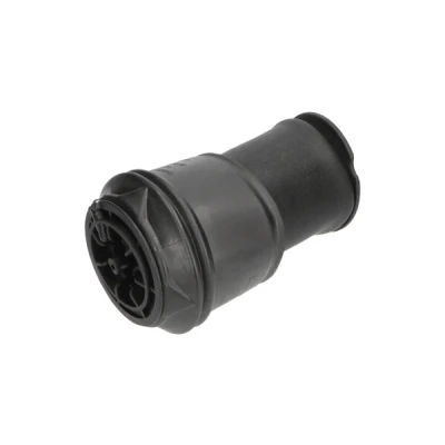 Kuva Ilmajousi, jousitus KAVO PARTS SAS 10008