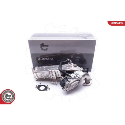 Kuva ESEN SKV 14SKV235 EGR Venttiili BMW: 3 Touring, 5 Sedan, Sedan