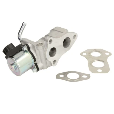 Kuva DELPHI EG10439 12B1 EGR Venttiili TOYOTA: RAV4 II SUV