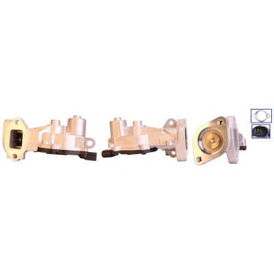 Kuva DRI 717730152 EGR Venttiili Sähköinen Tiivisteillä OPEL: Corsa D Hatchback, Astra J Hatchback