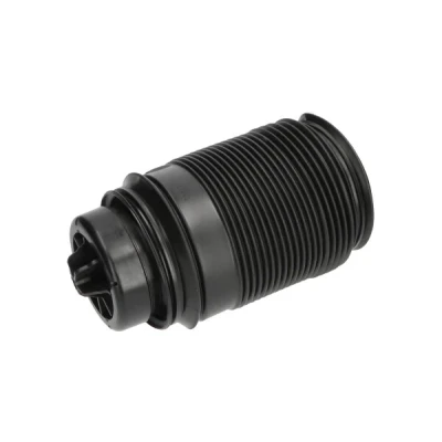 Kuva Ilmajousi, jousitus KAVO PARTS SAS 10019