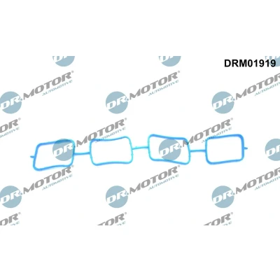 Kuva DR.MOTOR AUTOMOTIVE DRM01919 Imusarjan Tiivisteet
