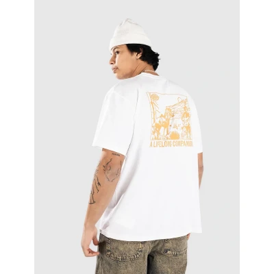 Kuva Dickies Companion T paita valkoinen