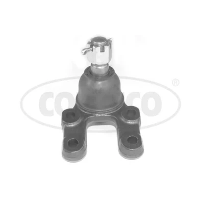Kuva CORTECO 49395848 Alapallonivel Alla, Etuakseli, oikea, vasen NISSAN: TERRANO 2, Pick Up
