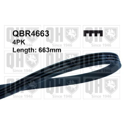 Kuva QUINTON HAZELL QBR4663 Moniurahihna 663 4 FIAT: Stilo Hatchback, Punto II Multi Wagon, CHEVROLET: Matiz