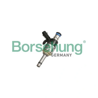 Kuva Ruisku Borsehung B11168