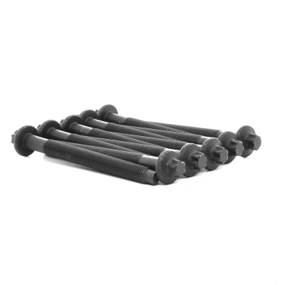 Kuva Sylinterikannen pulttisarja CITROËN, DS, FIAT, FORD, JAGUAR, LANCIA, LAND ROVER, MITSUBISHI, PEUGEOT, SUZUKI, TOYOTA, VOLVO OE 0204.96(x10), 0204.