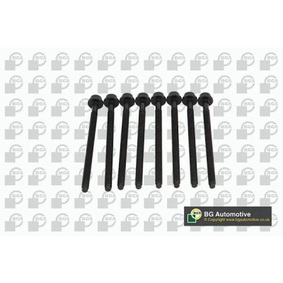 Kuva Sylinterikannen pulttisarja AUDI, SEAT, SKODA, VW OE WHT004926(x8)