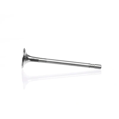 Kuva Pakoventtiili, Poistopuoli AUDI, SEAT, SKODA, VW OE 059 109 611 H, K, M