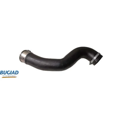 Kuva BUGIAD 82493 Ahdinletku Kuorella