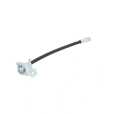 Kuva TRW PHA609 Jarruletku 305 M10x1