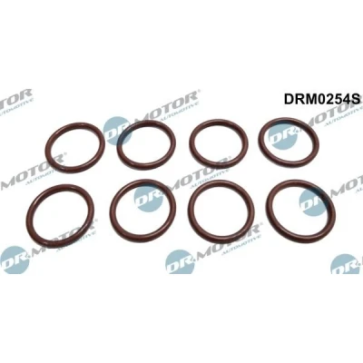Kuva DR.MOTOR AUTOMOTIVE DRM0254S Tiivisterengas, ruiskutusventtiili OPEL: Astra J Sports Tourer