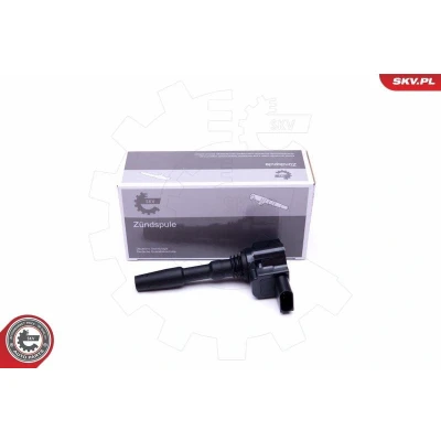 Kuva Sytytyspuola AUDI A6 C7, C7 Avant, A7 Sportback, A8 D4, BENTLEY CONTINENTAL Cabriolet, Coupé, FLYING SPUR OE 079905110H, 079905110J