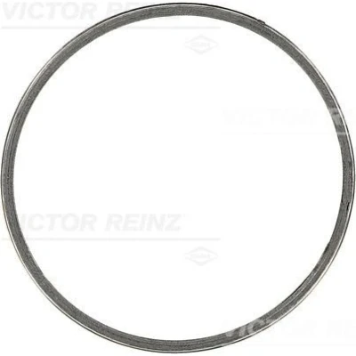 Kuva REINZ 71 39639 00 Pakoputken Tiiviste PEUGEOT: 206 Hatchback, 307 Hatchback