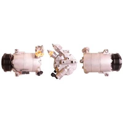 Kuva LUCAS ACP01000 Ilmastoinnin Kompressori PAG 46 R 134a Tiivisteillä FORD: Transit Connect V408 Van