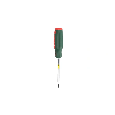 Kuva HANS 0440T10X100 Ruuvimeisseli T10 100