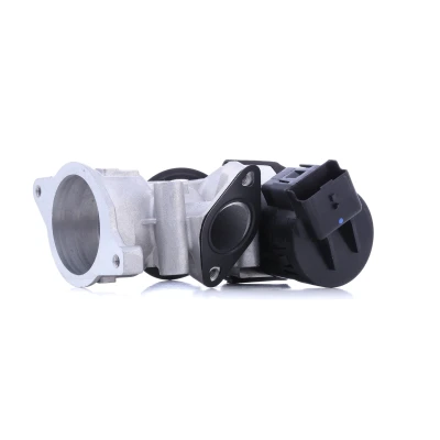 Kuva MAGNETI MARELLI 571822112098 EGR Venttiili VOLVO: V70 3, V50, S40 II, FORD: MONDEO 4 Turnier, Focus 2 Kombi, 4, PEUGEOT: Expert II Van, 5008 I