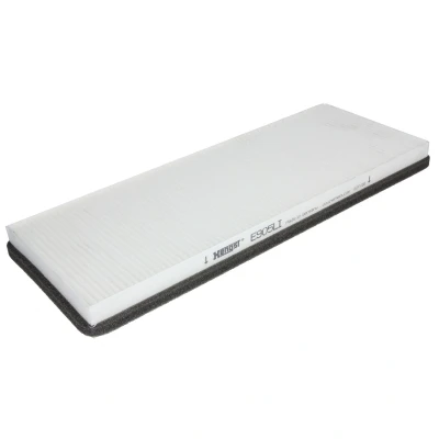 Kuva Raitisilmasuodatin HENGST FILTER E905LI