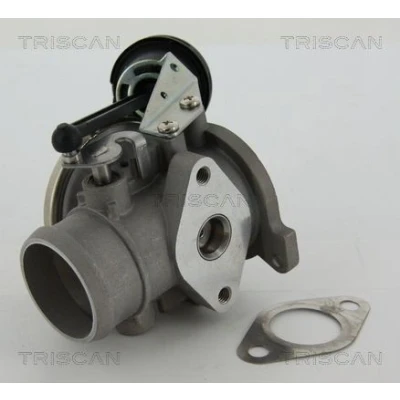 Kuva TRISCAN 8813 29022 EGR Venttiili Pneumaattinen Tiivisteillä AUDI: A2