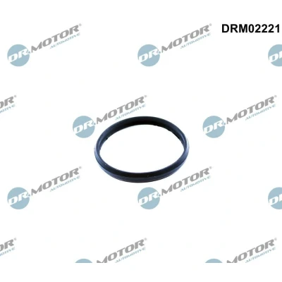 Kuva DR.MOTOR AUTOMOTIVE DRM02221 Tiiviste, Jakoketjun Kiristin