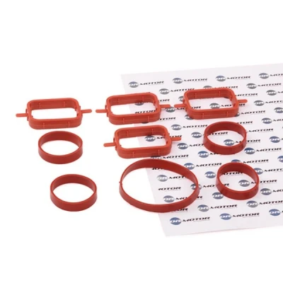 Kuva DR.MOTOR AUTOMOTIVE DRM0587S Tiivistesarja, Imusarja BMW: 5 Touring, 3 Sedan