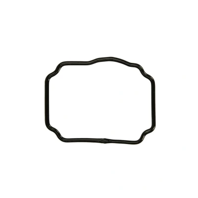 Kuva DT Spare Parts 1.24174 Tiiviste, Kampikammion Kansi