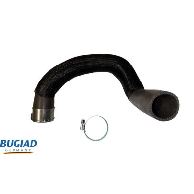 Kuva BUGIAD 82573 Ahdinletku Kuorella