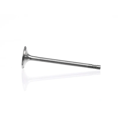Kuva Pakoventtiili, Poistopuoli CADILLAC, FIAT, OPEL, SAAB, VAUXHALL OE 24454518, 641373