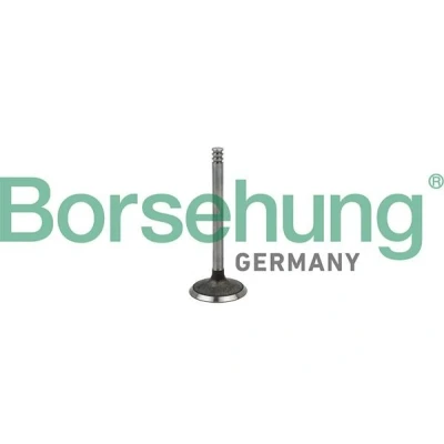 Kuva Borsehung B18998 Imuventtiili VOLKSWAGEN: Transporter 5, Multivan 5 (7HM, Golf AUDI: A4 B7 Sedan, A3 Hatchback, B6 Sedan