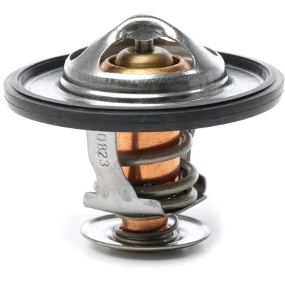Kuva METZGER 4006338 Termostaatti 82 54 Tiivisteillä NISSAN: X Trail, Primera Farmari, TERRANO 2