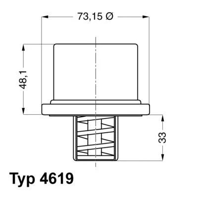 Kuva WAHLER 4619.75 Termostaatti 75 Tiivisteillä