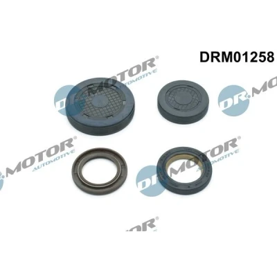 Kuva DR.MOTOR AUTOMOTIVE DRM01258 Tulppa, keinuvipuakselin asennusaukko RENAULT: Scénic 1, LAGUNA 2 Grandtour, CLIO 3