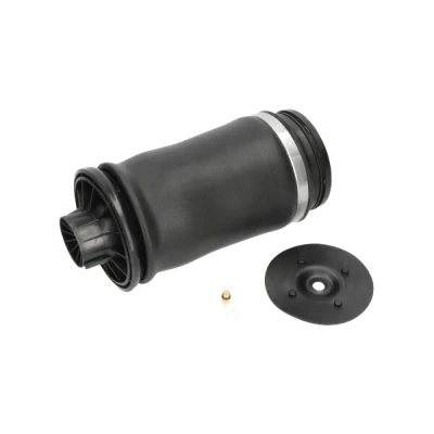 Kuva Ilmajousi, jousitus KAVO PARTS SAS 10010
