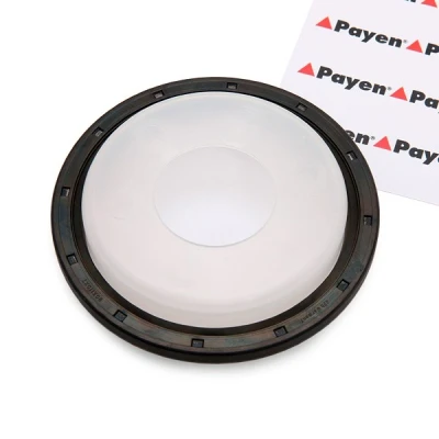 Kuva PAYEN NA5192 Kampiakselin Tiiviste PTFE (polytetrafluorietyleeni) PEUGEOT: Boxer Van, 206 Hatchback, Bussi, FORD: MONDEO 4 Turnier, S Max Mk1
