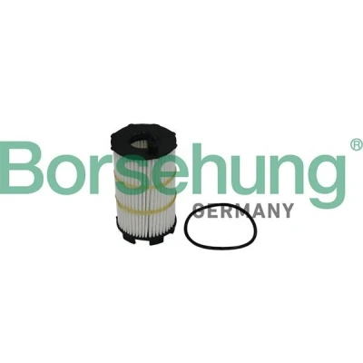 Kuva Borsehung B10517 Öljynsuodatin Suodatinpanos AUDI: A6 C6 Avant, Sedan, A8 D3, VOLKSWAGEN: Touareg II