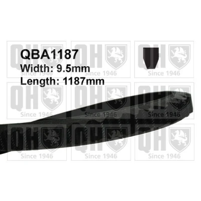Kuva QUINTON HAZELL QBA1187 Kiilahihnat 10 1187