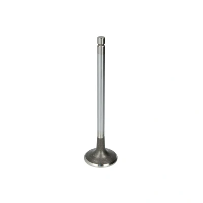 Kuva Pakoventtiili TRW 105 35620
