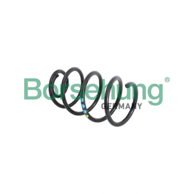 Kuva Borsehung B11089 Jousi Etuakseli VOLKSWAGEN: Polo VI