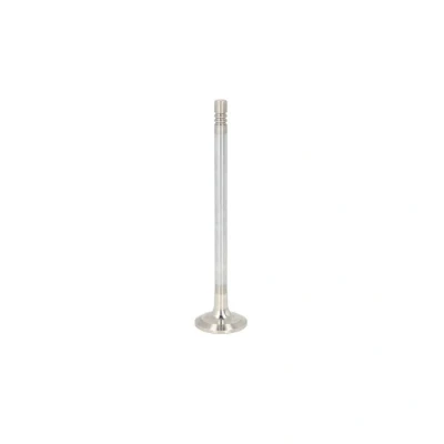 Kuva FRECCIA R6800/RCR Pakoventtiili 23,5 venttiilinvarsi kromattu